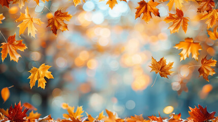 Wall Mural - Autumn scenic maple orange leaves and sunlight