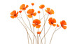 orange flowers stalk isolated on transparent background cutout