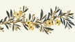 Sketch element. Olive branches isolated. Vector han