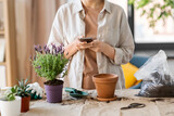 Fototapeta Panele - people, gardening and planting concept - close up of woman with smartphone and pot flower at home