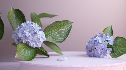 Wall Mural - Product display podium with Hydrangea flower. 3D rendering.