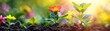 Simple image of a sprout growing among colorful flowers, representing new beginnings and peace, with space for text