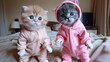 Two kittens wearing pink pajamas are standing on a bed. Scene is playful and cute
