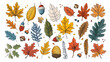 Hand-drawn big vector set of various autumn leaves, generative Ai