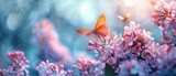 Fototapeta Pokój dzieciecy - There are lilac flowers, magnolia and green leaves, yellow butterflies and a frame on a blurred light sea blue background. There is a copy space for a photo or text.