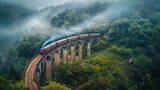 Fototapeta  - Train on the bridge in the jungle forest