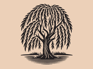 Willow tree. Old vintage engraving illustration. Hand drawn outline graphic. Logo, emblem, icon. Isolated object, cut out. black and white	