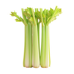 Wall Mural - Three celery stalks on Transparent Background