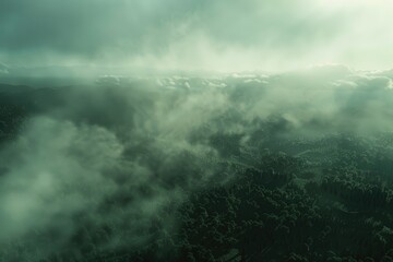 Poster - Aerial view of a plane flying over a lush green forest. Suitable for travel and nature concepts