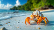 Closeup of a hermit crab on a tropical beach