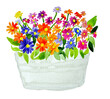 Vaso con tanti fiori multicolore, dipinto ad acquerello
