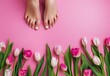 Harmony of spring awakening: bare feet among a colorful array of fresh tulips on a bright pink background