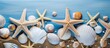 Group of seashells and starfish on sandy beach