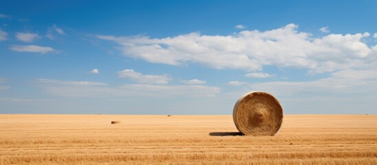 Sticker - Hay Bale in a Ploughed Field