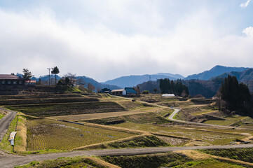 Sticker - 日本の原風景　大岡の棚田の春