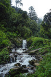 Fototapeta Natura - Nepal wild river