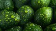 Fresh avocados with water droplets close up