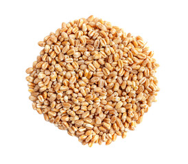 Wall Mural - Wheat Grains, Barley Pile, Dry Cereal Seeds, Wheat Grains Heap on White