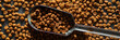 Dry Pet Food for Dogs and Cats. Brown Kibble Meal in Closeup with Scoop. High-Quality Image of Animal Food