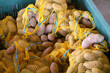 Several sacks of organic naturally grown potatoes without chemical fertilizers for sale