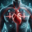 human heart shape with red cardio pulse line.