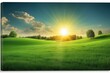Spring summer background featuring beautiful panoramic natural landscape of green field with grass against blue sky with sun,  Wide lawn trimmed with precision under a blue sunny sky
