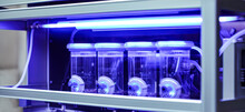 A Blue Light Illuminates A Row Of Three Clear Containers. The Containers Are Filled With Water And Have Small Holes In The Bottom. The Blue Light Is Shining On The Containers