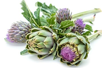 Wall Mural - Fresh organic artichokes on a white background ready to cook