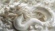   A white dragon sculpture atop a pristine white paper, bearing a dragon in relief on its back