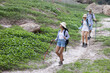 Backpackers trekking along the forest path