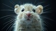   A rodent's face in tight focus against a black backdrop, its features softly blurred