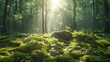   The sun penetrates the verdant forest, where trees allow its rays to filter through, moss blankets the ground beneath, and rocks dot the foreground