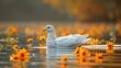   A white duck floats atop tranquil water, encircled by a riot of yellow and red blooms Amidst the scene, a foggy veil desc