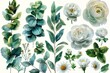 Watercolor floral illustration set - bouquet, frame, border, wreath. White flowers, rose, peony, green leaf