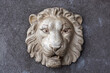 Bas-relief of the lion's head on the wall