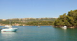 Fototapeta Na drzwi - lovely bay on Frankj, island Rab, Croatia