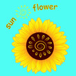 Vector illustration - a stylized sunflower with a simple stylized pattern of the sun in the middle, an unusual inscription: the word 