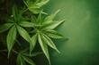 Vibrant Cannabis Leaf on Serene Green Background Generative AI