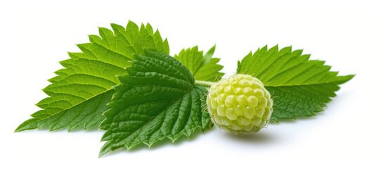 Poster - Close-up raspberry with leaves and flower