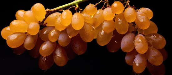 Poster - Bunch of grapes on twig