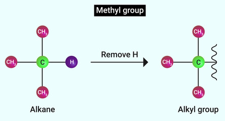 Wall Mural - Methyl group: Removal of H atom from alkane results in an alkyl group