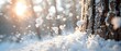 Winter's Rhythmic Dance: Snowball Burst on Bark. Concept Nature Photography, Winter Landscapes, Close-up Shots, Ice Crystals, Snow-covered Trees