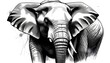 Pencil Drawing of an African Elephant 