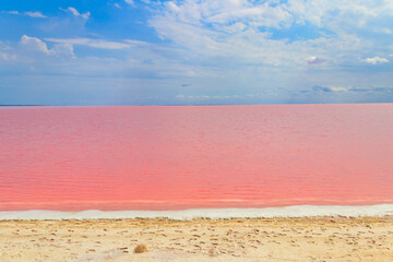 Poster - View of the pink salty Syvash lake in Kherson region, Ukraine