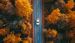 car drives along the road among the autumn forest, top view