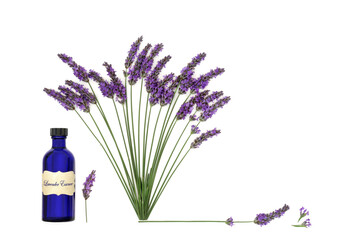 Wall Mural - lavender; herb; flower; frame; border;  blue, bottle;    background; bouquet, adaptogen; aromatherapy; natural; herbal medicine; alternative medicine; nature;   aromatherapy oil;   essential oil; infu