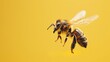 Honeybee in flight on yellow background. High-speed photography for nature and wildlife concept. Design for educational material, banner