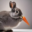 A fluffy gray bunny nibbling on a carrot, with its nose twitching3