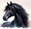 Horse. Head. Black Stallion. Portrait. Watercolor paint. Isolated illustration on a white background. Banner. Close-up