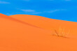 Erg Chebbi sand dunes, Sahara Desert,Morocco: Sand dunes in a sunny day close to Merzouga